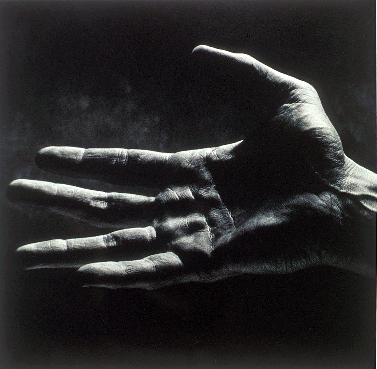 Adam Bruzzone Photography