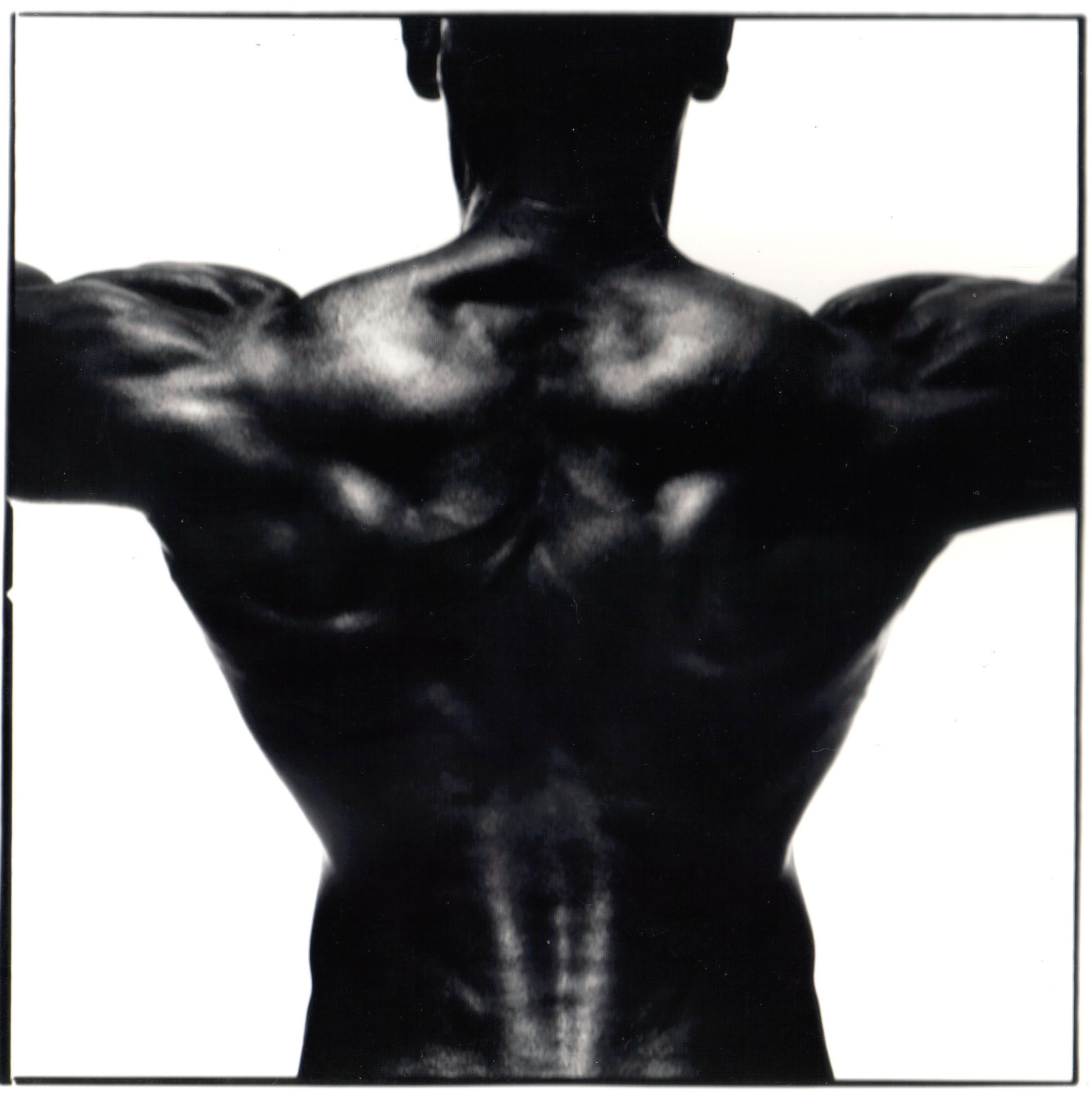 Adam Bruzzone Photography