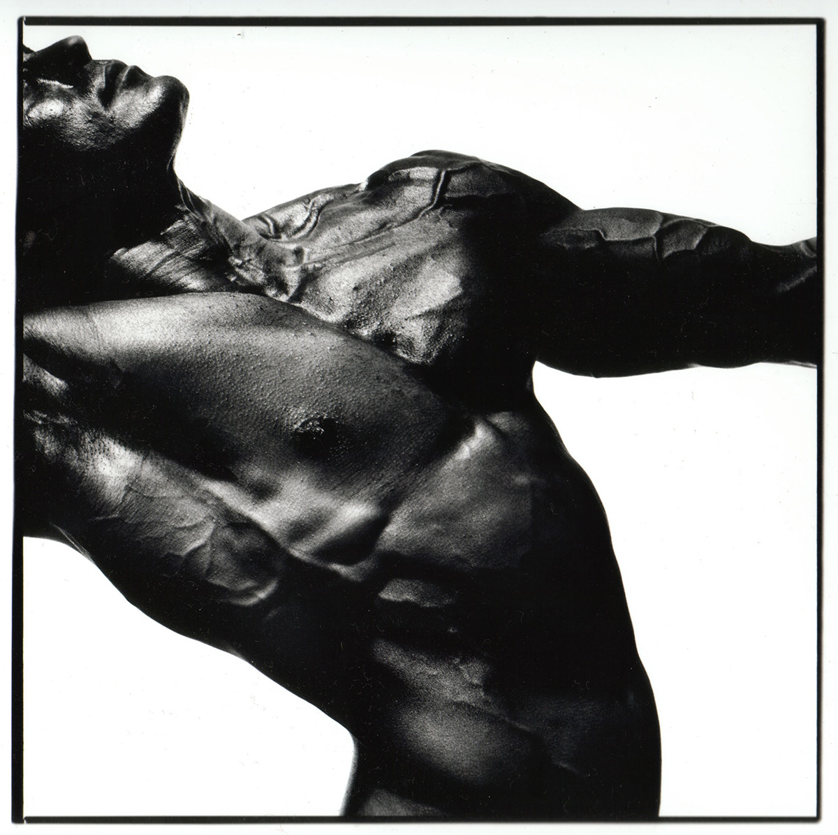 Adam Bruzzone Photography