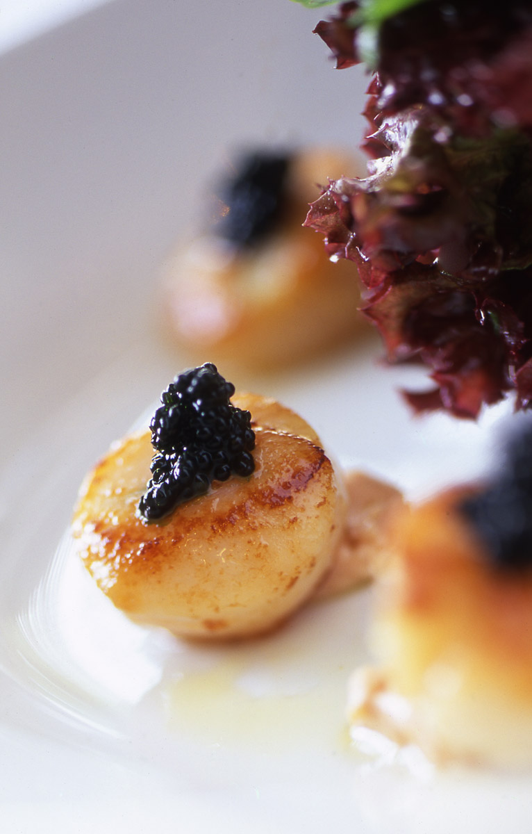 Adam Bruzzone Photography