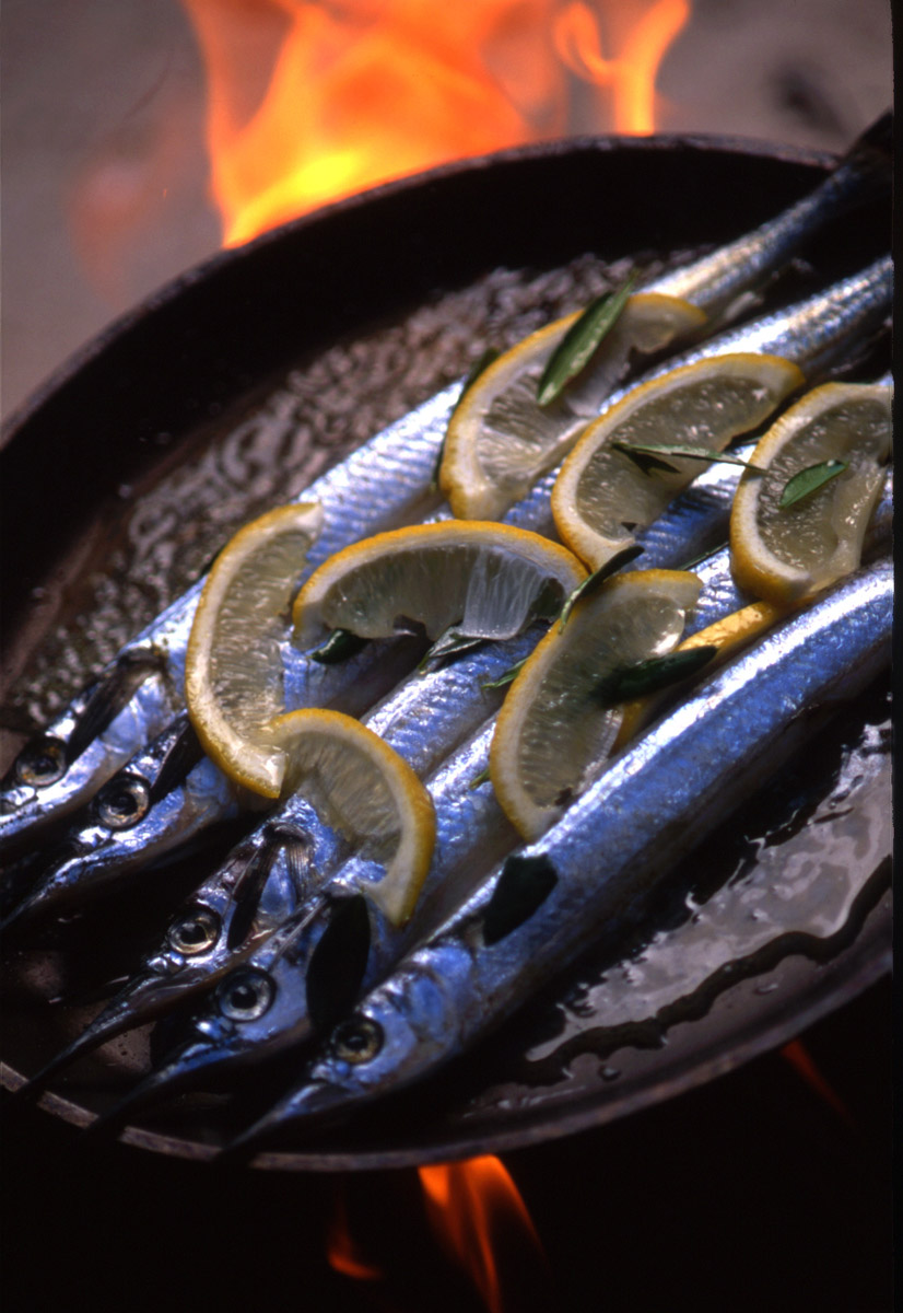 Adam Bruzzone Photography