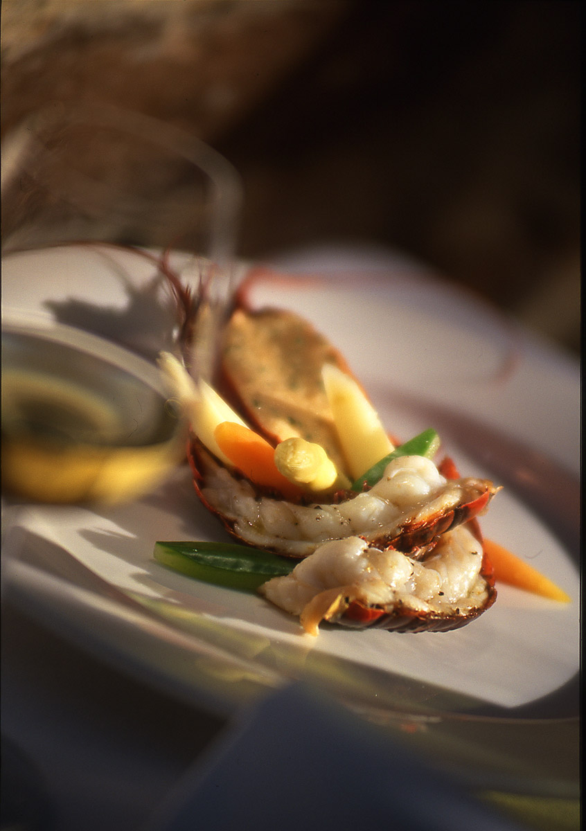 Adam Bruzzone Photography