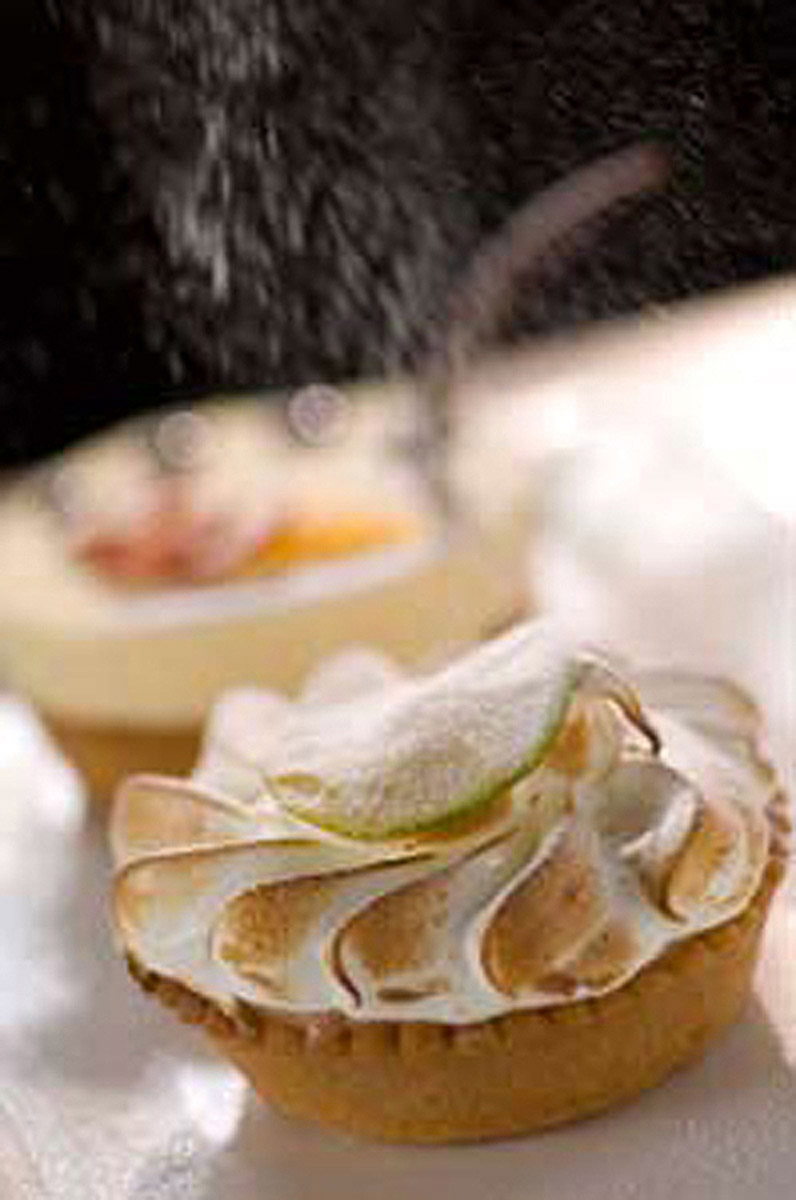 Adam Bruzzone Photography