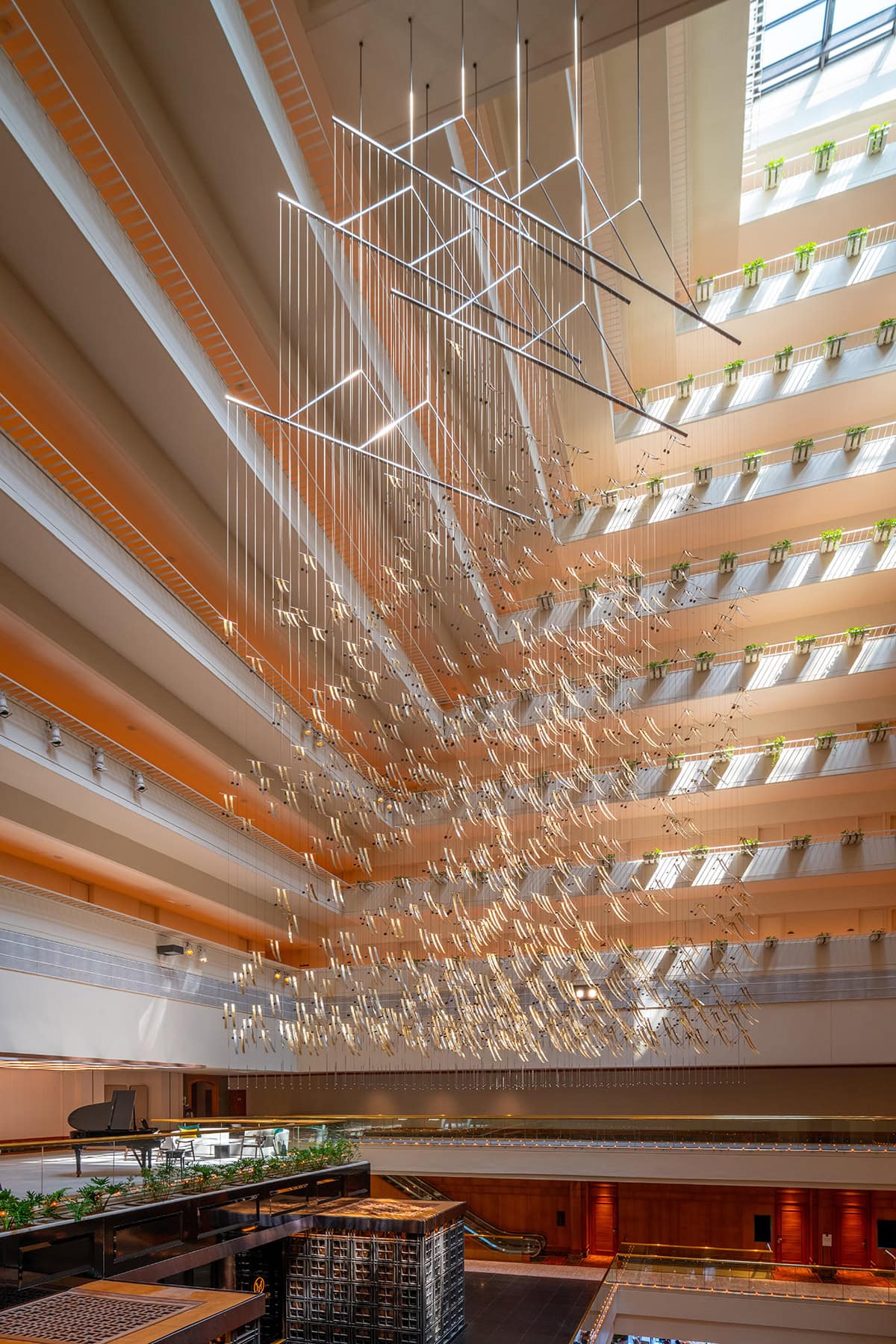 Adam Bruzzone Photography