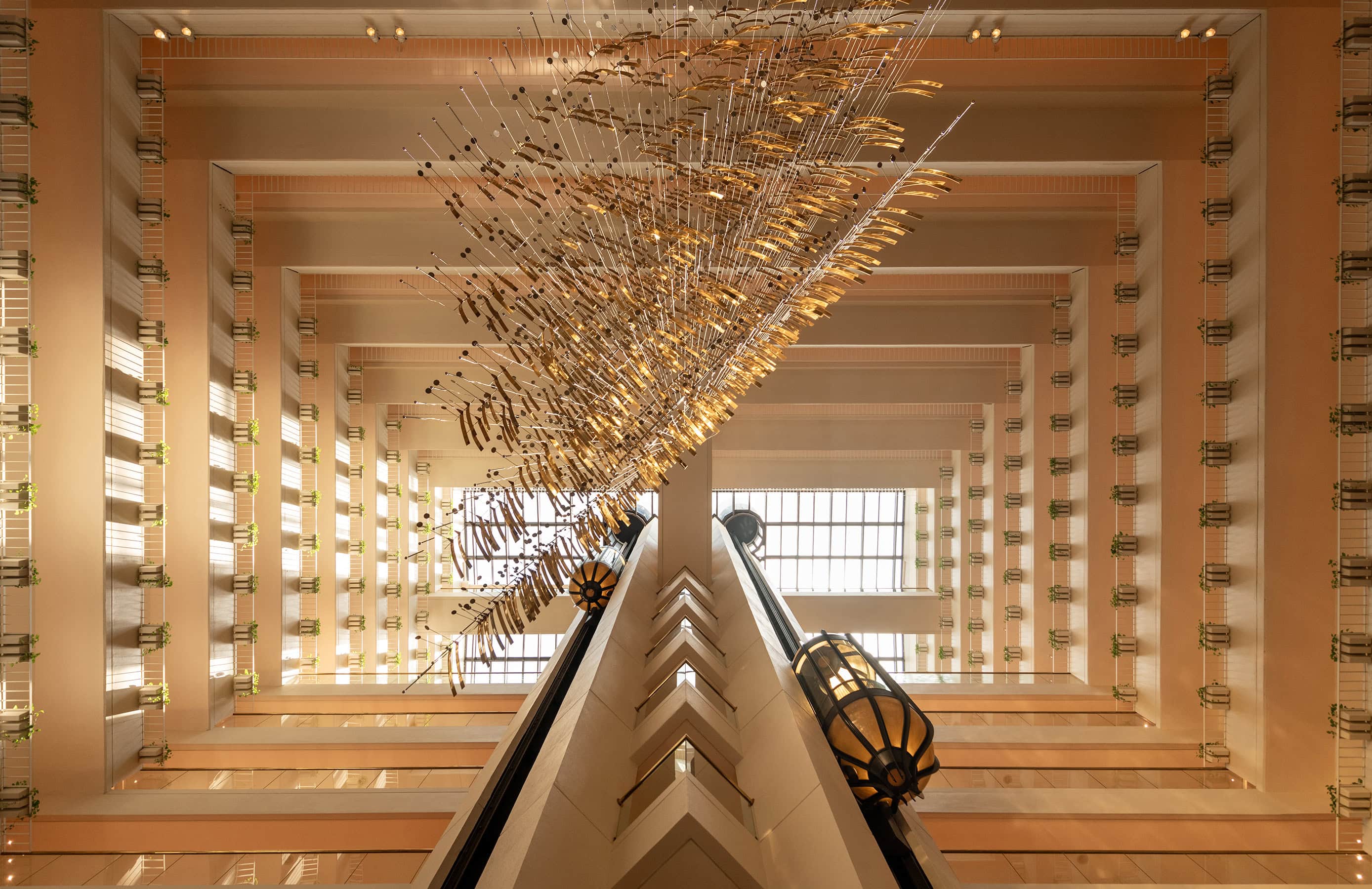 Adam Bruzzone Photography