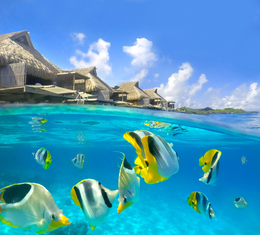 Adam Bruzzone Photography