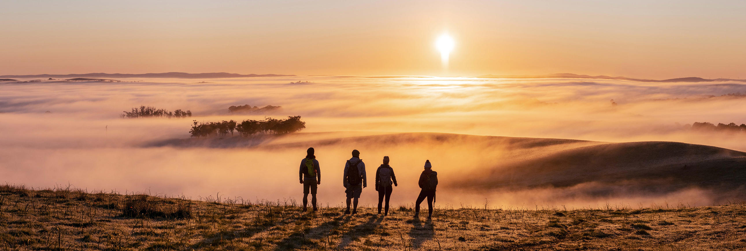 Adam Bruzzone Photography