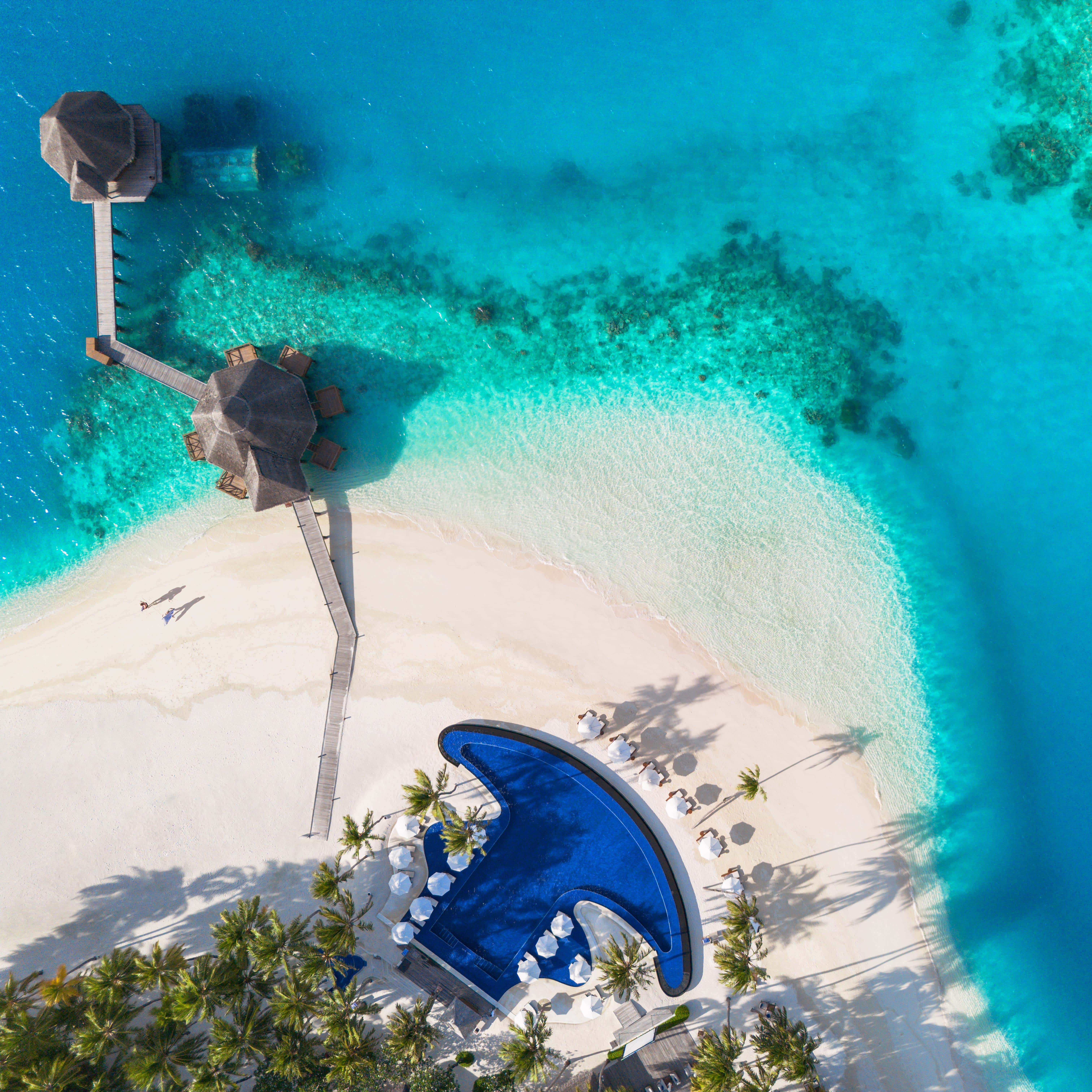 Adam Bruzzone Photography