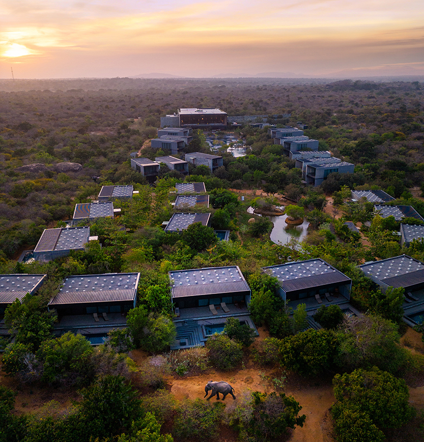 Adam Bruzzone Photography