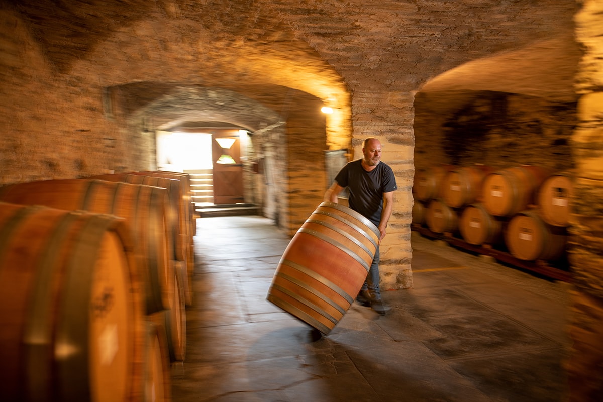 Sevenhill Wines, Clare Valley